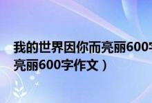 我的世界因你而亮丽600字作文关于朋友（我的世界因你而亮丽600字作文）