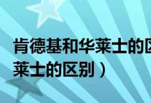 肯德基和华莱士的区别哪个干净（肯德基和华莱士的区别）