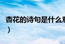 杏花的诗句是什么意思啊（杏花的诗句是什么）