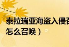 泰拉瑞亚海盗入侵召唤物（泰拉瑞亚海盗入侵怎么召唤）