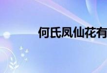 何氏凤仙花有毒吗（何氏凤仙）