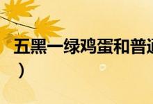五黑一绿鸡蛋和普通鸡蛋的区别（五黑一绿鸡）
