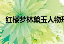 红楼梦林黛玉人物形象（红楼梦人物形象）