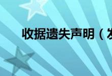 收据遗失声明（发票遗失证明怎么写）