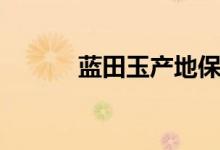 蓝田玉产地保护（蓝田玉产地）
