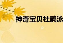 神奇宝贝杜鹃泳装（神奇宝贝杜鹃）