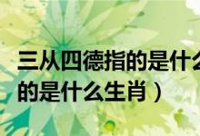三从四德指的是什么生肖打数字（三从四德指的是什么生肖）