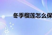 冬季榴莲怎么保存（榴莲怎么保存）
