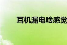 耳机漏电啥感觉（耳机漏电电耳朵）