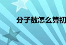 分子数怎么算初中（分子数怎么算）