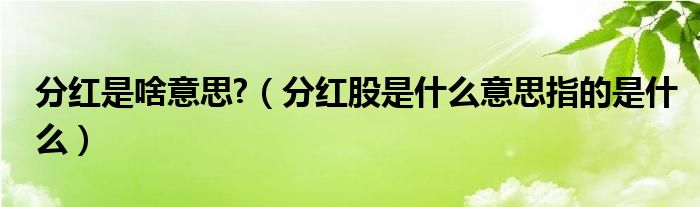 分红是啥意思?（分红股是什么意思指的是什么）