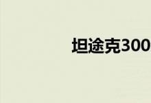 坦途克300图片(坦克帽)