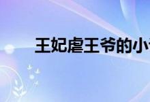 王妃虐王爷的小说 小说(王爷虐妃)
