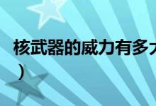 核武器的威力有多大图(核武器的威力有多大)