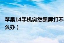 苹果14手机突然黑屏打不开怎么办（三星手机黑屏打不开怎么办）