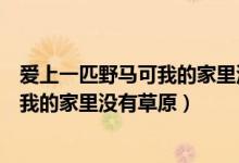 爱上一匹野马可我的家里没有草原下一句（爱上一匹野马可我的家里没有草原）