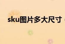 sku图片多大尺寸（sku图片是什么意思）