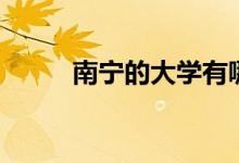 南宁的大学有哪些（南宁的大学）