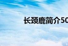 长颈鹿简介50字（长颈鹿简介）