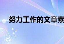 努力工作的文章素材（努力工作的文章）