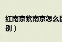 红南京紫南京怎么区别（红南京跟紫南京的区别）