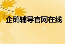 企鹅辅导官网在线（企鹅辅导电脑版官网）