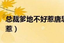 总裁爹地不好惹唐思雨邢烈寒（总裁爹地不好惹）
