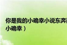 你是我的小确幸小说东奔西顾番外(东奔西顾作品你是我的小确幸)