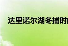 达里诺尔湖冬捕时间2024（达里诺尔湖）