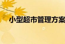 小型超市管理方案（小型超市管理系统）