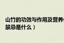 山竹的功效与作用及营养价值有哪些（山竹的功效与作用及禁忌是什么）