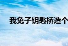 我兔子钥匙桥造个句子(我兔子钥匙桥)