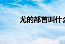 尤的部首叫什么名字（尤的部首）
