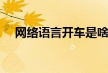 网络语言开车是啥意思（网络语言开车）
