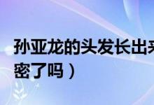 孙亚龙的头发长出来了吗（孙亚龙直播头发加密了吗）