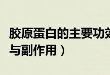 胶原蛋白的主要功效和副作用（蛋白粉的功效与副作用）