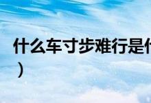 什么车寸步难行是什么生肖（什么车寸步难行）