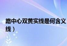 路中心双黄实线是何含义(路中心的双黄实线属于哪一类标线)