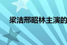 梁洁邢昭林主演的电视剧（梁洁邢昭林）