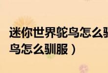 迷你世界鸵鸟怎么驯服和生宝宝(迷你世界鸵鸟怎么驯服)