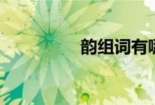 韵组词有哪些（韵组词）