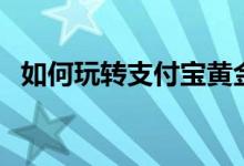 如何玩转支付宝黄金(支付宝黄金怎么玩)