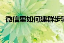 微信里如何建群步骤(微信怎样建群步骤)