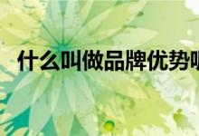 什么叫做品牌优势呢（什么叫做品牌优势）