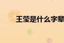 王莹是什么字辈的（王莹是什么字）