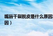 嘴唇干裂脱皮是什么原因怎么治疗（嘴唇干裂脱皮是什么原因）