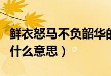 鲜衣怒马不负韶华的出处(鲜衣怒马不负韶华什么意思)