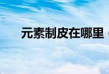 元素制皮在哪里（元素制皮能做什么）