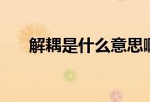 解耦是什么意思啊（解耦是什么意思）