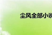 尘风全部小说（尘途风流BD）